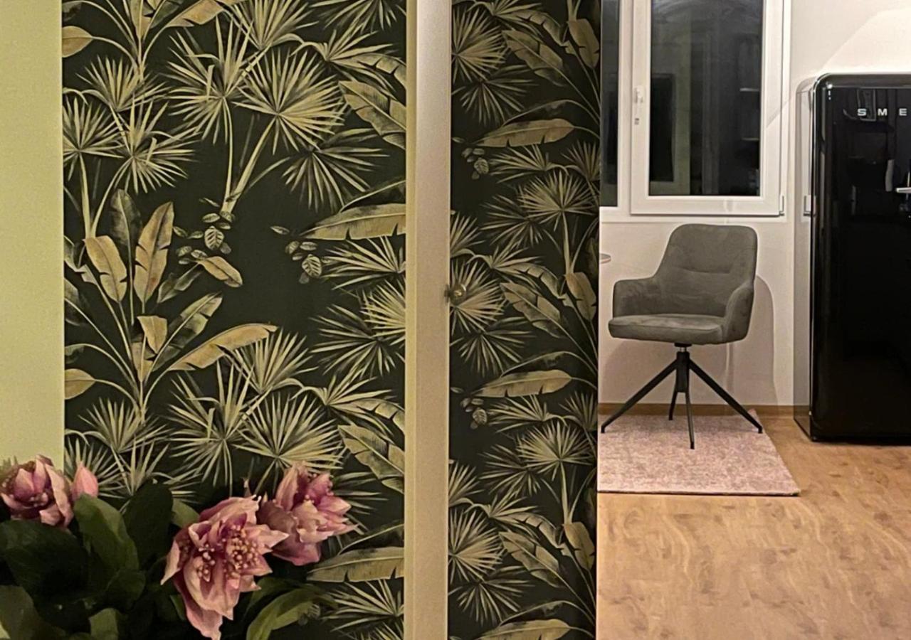 Stay At Smilla - Boutique Apartments Mit Kueche - Parken - Klima - Netflix - Waschmaschine Wiesbaden Kültér fotó