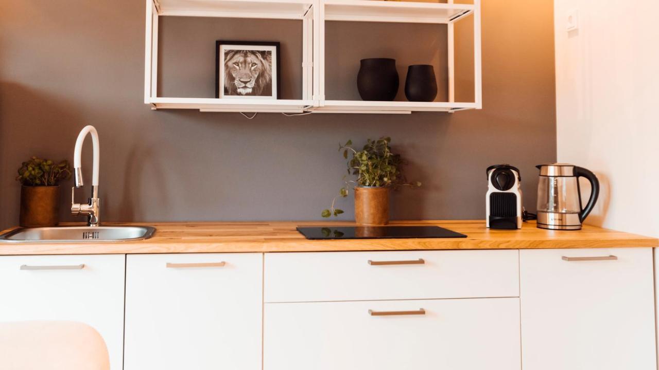 Stay At Smilla - Boutique Apartments Mit Kueche - Parken - Klima - Netflix - Waschmaschine Wiesbaden Kültér fotó